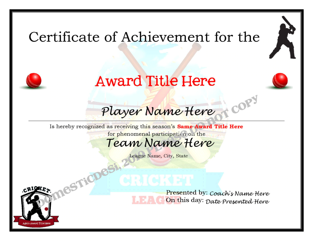 cricket certificate Celebrating