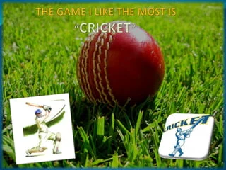  Ppt For Cricket